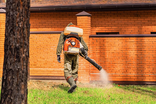 Bed Bug Clearance Verification and Documentation in Valle Vista